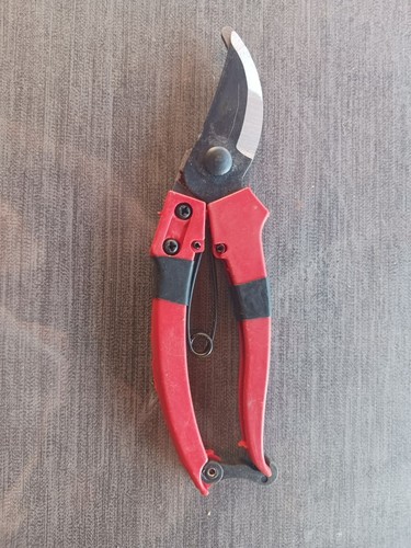 Petit secateur ciseaux - , de
