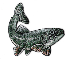 Patche écusson poisson pêche truite pêcheur thermocollant patch 