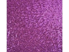 De Luxe Sequin Danse Wear