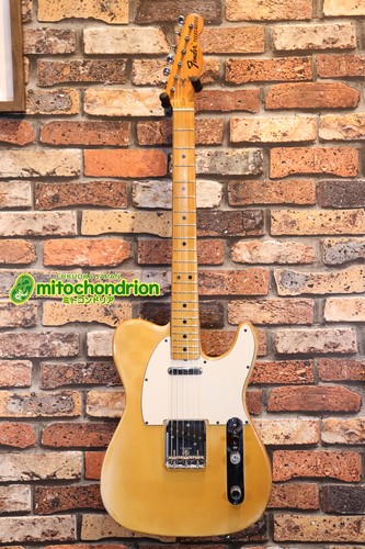 Fender 1975 telecaster - fender,