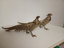 Oiseaux  ( couple de faisans)