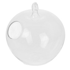  Globe De Terrarium En Verre