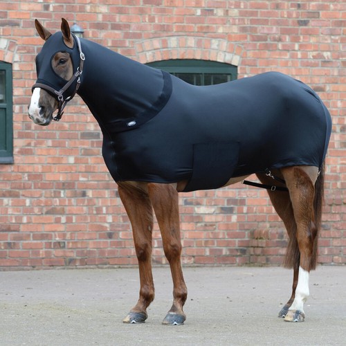 Weatherbeeta stretch rug - rug,
