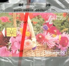 Telecarte FR En746 | LE JARDIN