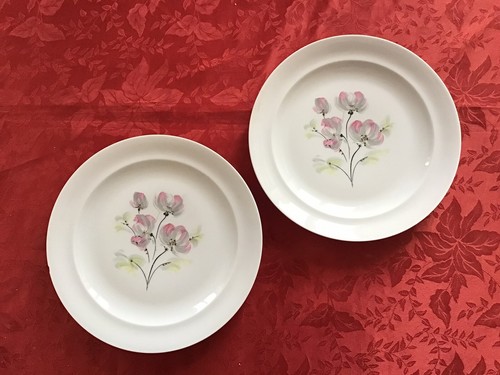 Assiettes porcelaine de - en,