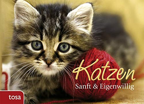 Katzen sanft eigenwillig - katzen:,