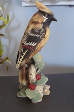 Superbe oiseau,Jaseur Boréal,en porcelaine de Capodimonte à Naples,signé Bindi.