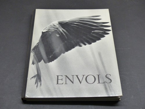 Photographies ornithologie - photographies,