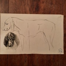 Dessin Ancien Animalier René