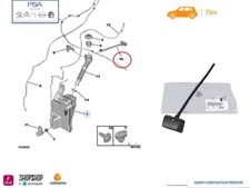 1x Gicleur Buses de