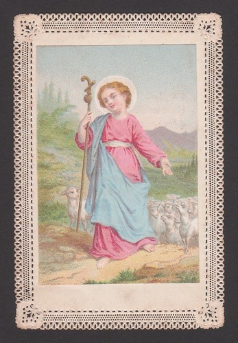 Divin pasteur canivet - le,