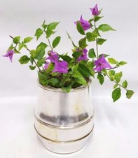 Pot angelots macabo cusano - pot,