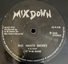 THE N.M. BAND ~ SHE WANTS 12"