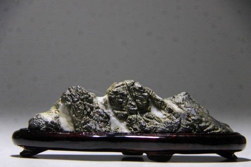 Suiseki bonseki bonsai - suiseki,