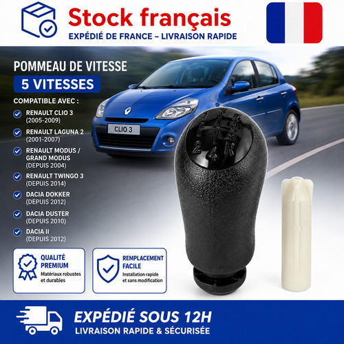Pommeau levier vitesse - levier, de