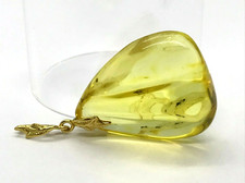 Pendentif Ambre Cadeau Insecte