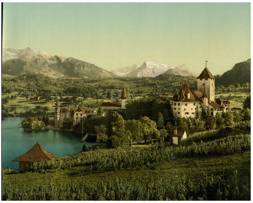 Berner oberland schloss spiez - oberland.,