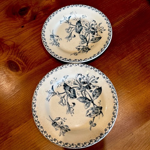Lot assiettes plates - 2,
