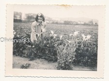 Vintage photo - little girl in flower field