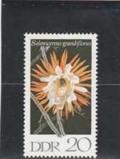 L7352 ALLEMAGNE RDA Timbre N° Y&T 1319 de 1970 " Cactées Selenicereus " Neuf**