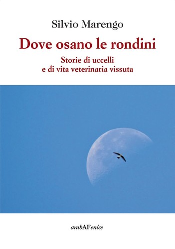 Silvio marengo dove osano - dove, le