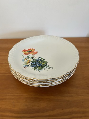 Lot assiettes plates - lot,