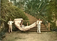 A Madeira. Hammock. Photochrome original d'époque, Vintage photochrom, P.Z.