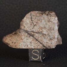 Talon de Météorite NWA 16950 de 45,35 g Chondrite de type L6 Regmaglyptes