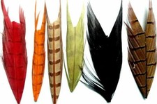 6 x COMBO Plume queue de