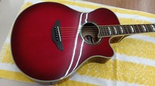 Guitare acoustique électrique
