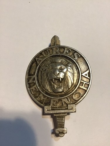 Insigne béret des troupes - insigne,