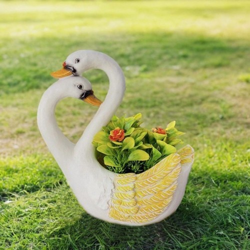 Jardin pour cygne - jardin,