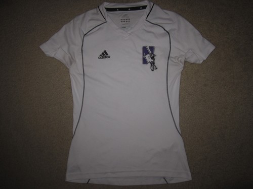 Northwestern wildcats - northwestern,