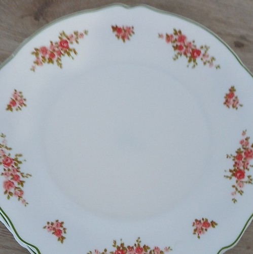 Arcopal assiettes rondes - arcopal,