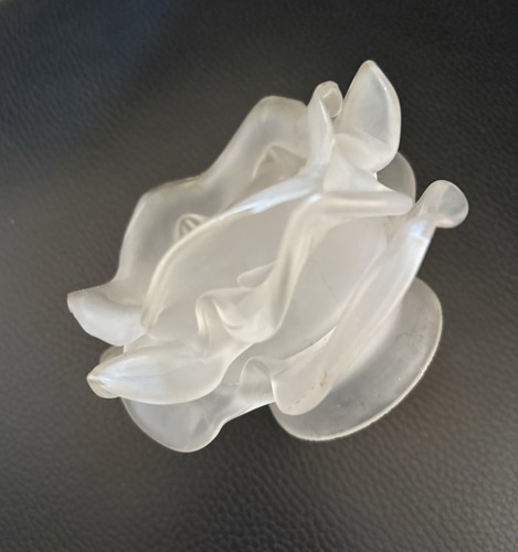 Tulipe forme rose - tulipe, en