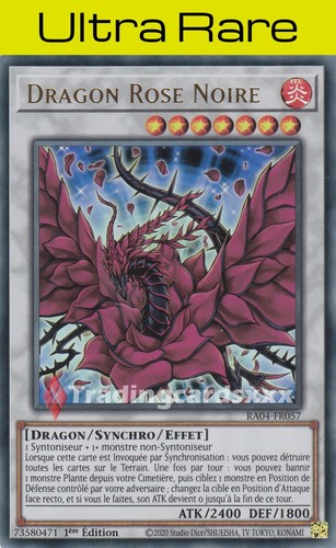Dragon rose noire - dragon,