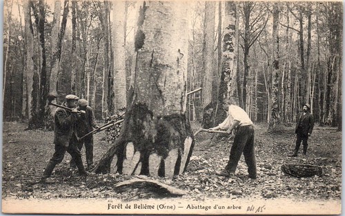Belleme abattage d un - 61, d'un