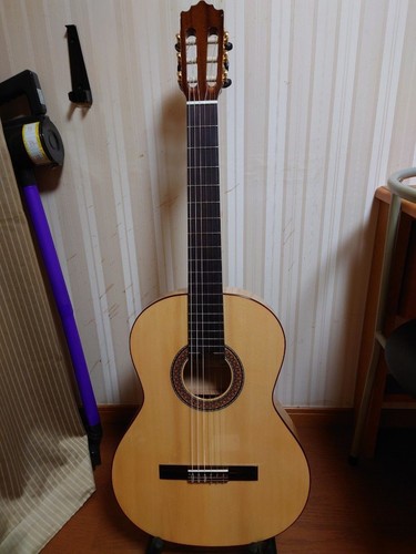 Guitare flamenco espagnole