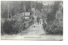 SRI LANKA  NUIVARA ELUJA