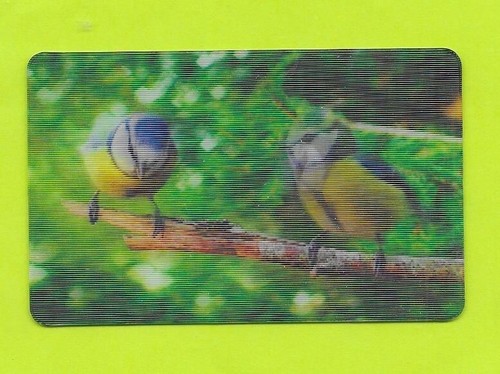 Carte cora match - match, n°07/44