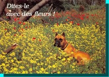 CPM - Dite Le Avec Les Fleurs (Chien)