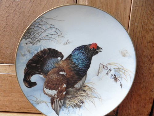 Assiette limoges tétras - assiette,