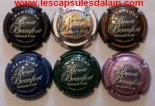 6 BELLES CAPSULES CHAMPAGNE