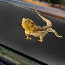  Tapis De Reptile Accessoire Pour Aquarium À Reptiles Accessoires Dragon Barbu