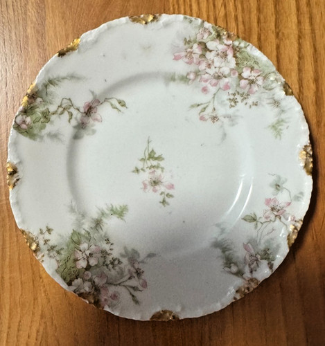 Theodore haviland schleiger - 6,