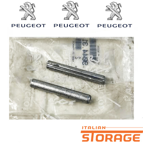 Peugeot 205 309 kit - 309,