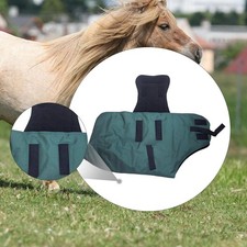 Couverture d'hiver pour cheval