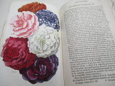 REVUE HORTICOLE 1850 SUPERBE