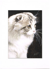 peinture aquarelle originale