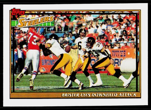 Steelers team leaders results - team, leaders/results